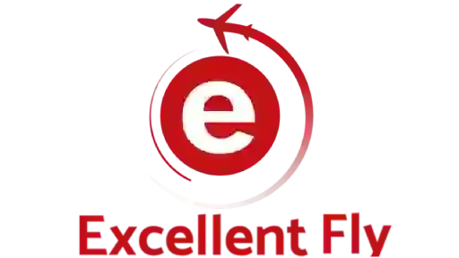 Excellent Fly